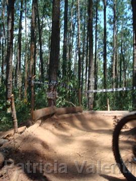 DSC01210