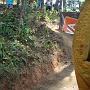 DSC01114