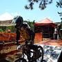 DSC01240