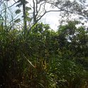 SAM_4373